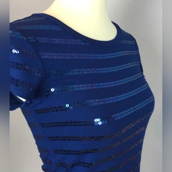 Ann Taylor Petites, Fitted, Blue Sequin, Scoop Neck Top, Size Med/Petite - Picture 3 of 7
